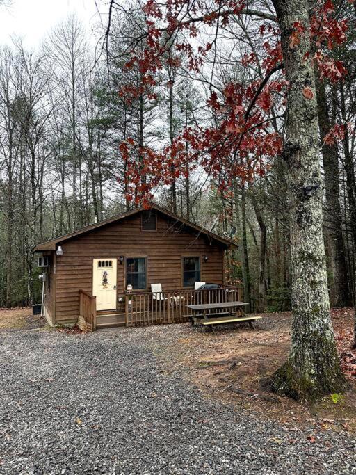 Private Cozy Cabin In The Woods With Great View Мерфі Екстер'єр фото