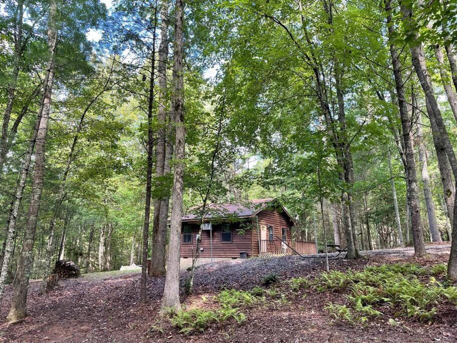 Private Cozy Cabin In The Woods With Great View Мерфі Екстер'єр фото