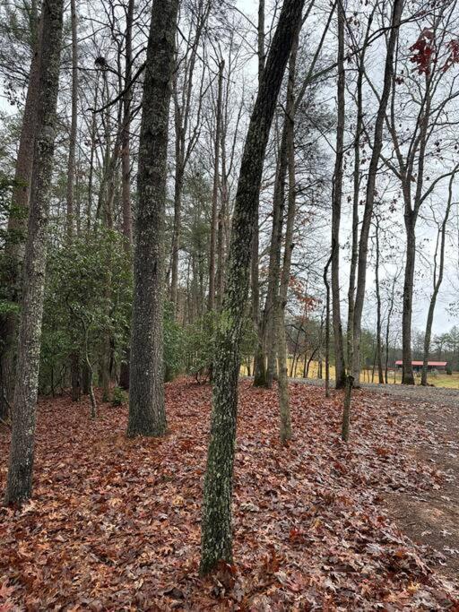 Private Cozy Cabin In The Woods With Great View Мерфі Екстер'єр фото
