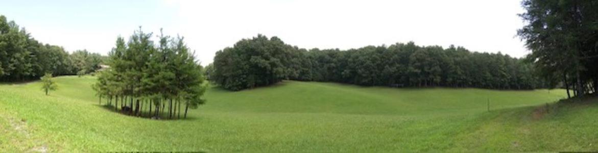 Private Cozy Cabin In The Woods With Great View Мерфі Екстер'єр фото